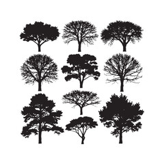Fototapeta premium Different Species Showing Unique Branching Patterns, Canopy Structures, Foliage Silhouettes Collection