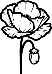 A striking black and white outline illustration featuring a delicate poppy flower in full bloom alongside a nascent bud, embodying natural beauty and growth with elegant simplicity