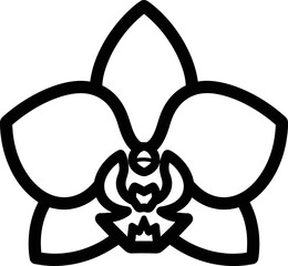 A delicate line art illustration of a beautiful orchid flower, showcasing its intricate petals and stamen