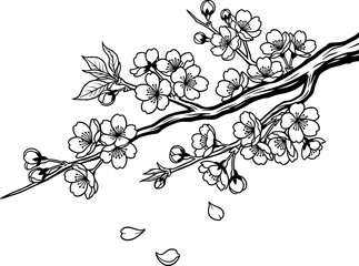 Delicate cherry blossom branch illustration with falling petals, symbolizing spring and renewal
