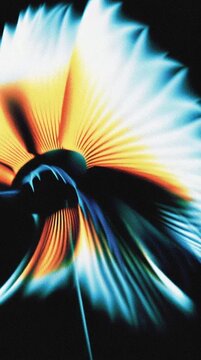 Abstract colorful betta fish fin moving elegantly in dark water with flowing light