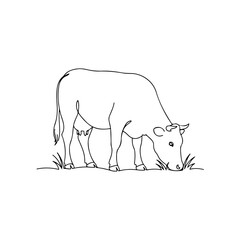 Grazing cow isolated on transparent background