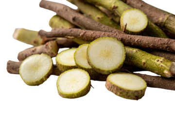 Pile of rough cut wood branches isolated on transparent background. Heap of freshly cut wood branches and stems isolated on white background.