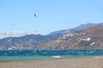 Salobre&ntilde;a beach in Andalucia, Spain