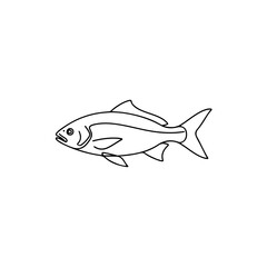 Fish outline isolated on transparent background