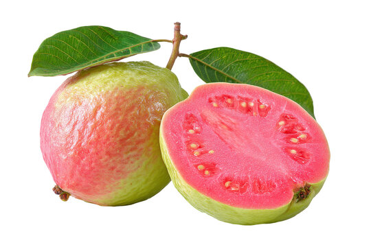 Ripe pink guava fruit with leaves isolated on transparent background. Fresh pink guava fruit one whole and one half isolated on white background.