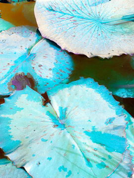 blue water background