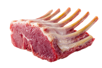 Raw rack of lamb isolated on transparent background. Fresh raw rack of lamb prepared for gourmet cooking and grilling deliciously isolated on white background.