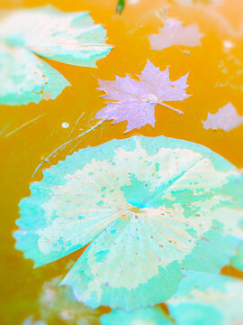 watercolor illustration of a watercolor painting of a tree