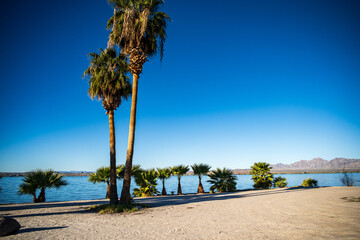 Lake Havasu State Park