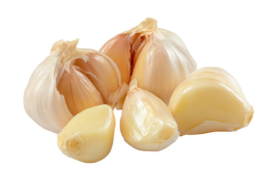 Fresh garlic bulb and cloves isolated on transparent background. Fresh garlic cloves and bulb isolated on white background.