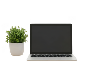Laptop and plant isolated on transparent background isolated on transparent background