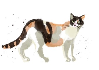 cat, pet, digital watercolor, the life around us