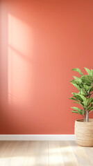 Minimalist interior with potted plant against coral wall and sunlight