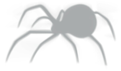 Obraz premium Spider vector illustration, cartoon scary gray shadow of insect, wildlife fauna, Halloween decoration