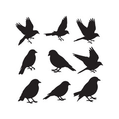 Naklejka premium Bird Silhouettes Collection