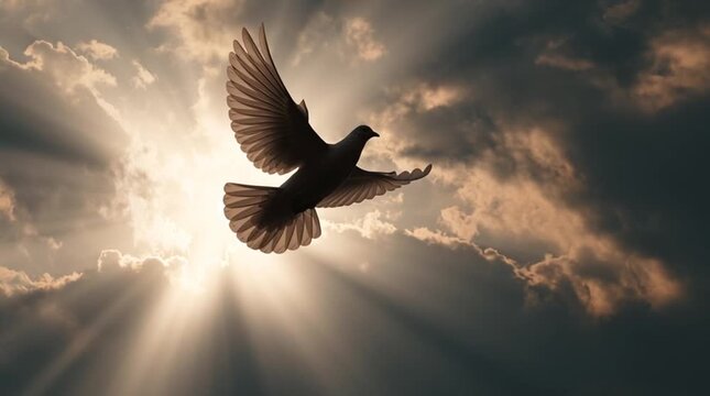 A dove silhouette formed by sunlight breaking through clouds, soft and ethereal, conveying peace, hope, and a universal sacred language through gentle light and sky.
