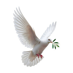 Obraz premium White Dove Flying with Flower Branch: Symbol of Peace and Hope