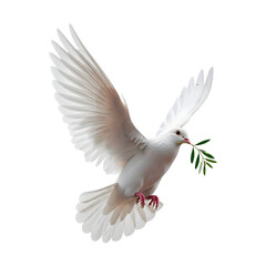 Fototapeta premium White Dove Flying with Flower Branch: Symbol of Peace and Hope