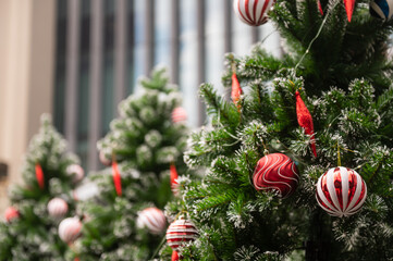 Row of decorated Christmas trees with red ornaments outdoors