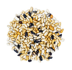 raw fresh colorful beans