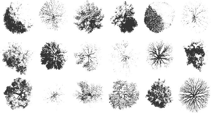 Collection of black and white view tree silhouettes with varied textures and branch patterns overhead