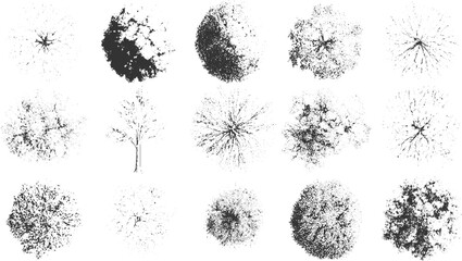 Collection of fifteen black and white view tree and silhouettes © appl