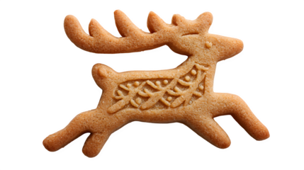 Red tropical starfish and festive Christmas cookies shaped like shells create a unique marine-themed holiday decoration isolated on a white background