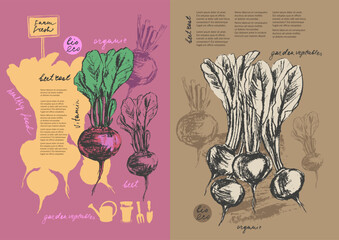 Hand drawn ink beetroot vegetable sketches set. Food drawings for labels and packaging.