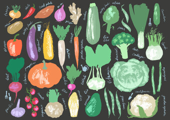 Hand drawn vegetable sketches set. Tomato, cucumber, bell pepper, zucchini, pumpkin, butternut, squash, corn, onion, radish, potato, green beans, asparagus