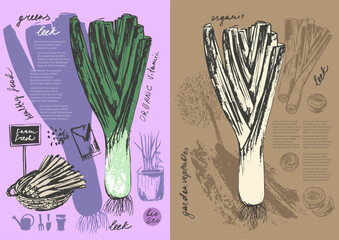Hand drawn ink leek vegetable sketches set. Food drawings for labels and packaging