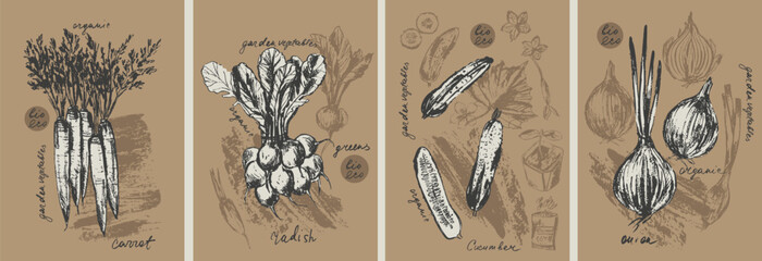 Hand drawn ink onion, carrot, cucumber, radish vegetable background set. Food drawings for labels and packaging. Vegetarian menu. Healthy diet.