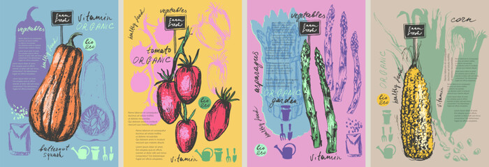 Hand drawn ink butternut squash, tomato, asparagus, corn vegetable background set. Food drawings for labels and packaging. Vegetarian menu. Healthy diet.
