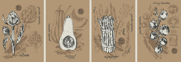 Hand drawn ink artichoke, asparagus, tomato, butternut squash vegetable background set. Food drawings for labels and packaging. Vegetarian menu. Healthy diet.
