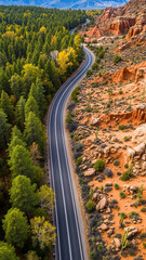 Winding road through desert canyon with trees and rocky cliffs