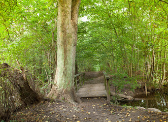 H&oslash;rsholm in denmark