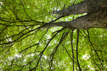 H&oslash;rsholm in denmark