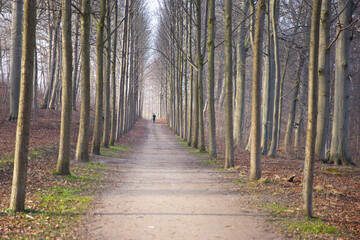 H&oslash;rsholm in denmark