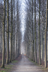 H&oslash;rsholm in denmark