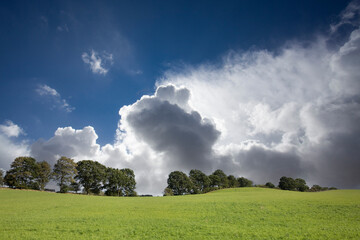 Agricultural field between H&oslash;rsholm and Birker&oslash;d in Denmark in the summer