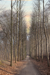 H&oslash;rsholm in denmark