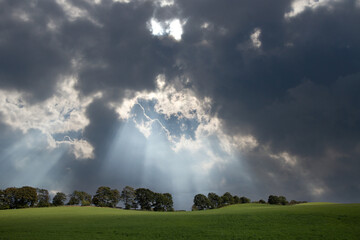 Agricultural field between H&oslash;rsholm and Birker&oslash;d in Denmark in the summer