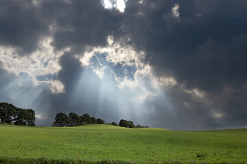 Agricultural field between H&oslash;rsholm and Birker&oslash;d in Denmark in the summer