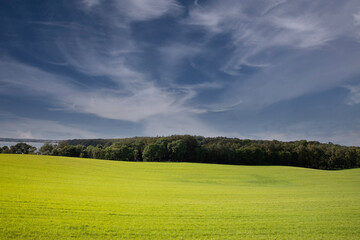 Agricultural field between H&oslash;rsholm and Birker&oslash;d in Denmark in the summer