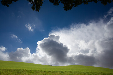 Agricultural field between H&oslash;rsholm and Birker&oslash;d in Denmark in the summer