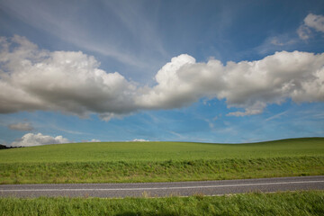 Agricultural field between H&oslash;rsholm and Birker&oslash;d in Denmark in the summer