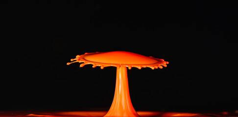 Milk Drop Splash Close-Up View