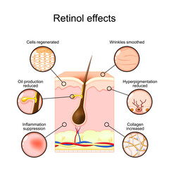 Retinol effects. Vitamin A for skincare. Skin rejuvenation