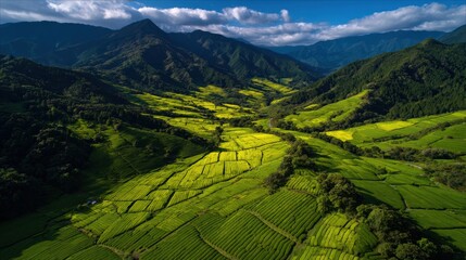 A breathtaking aerial view of lush, green terraced fields surrounded by mountains under a clear blue sky, showcasing the beauty of nature.