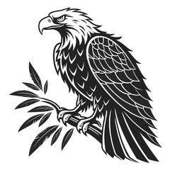 Placeholder image display